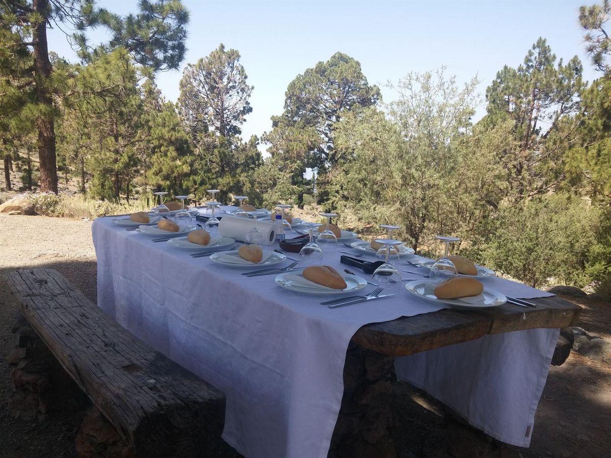 A long table laid with white linen, bread and glasses in the Canarian pine forest